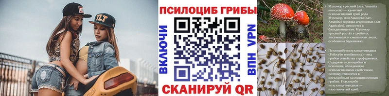 Купить  Сарапул  Псилоцибиновые грибы Psilocybe 